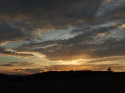 DSC_9751