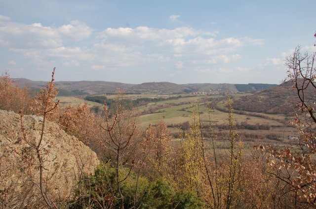 DSC_4065