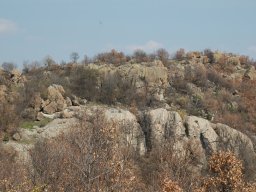 DSC_3949~0