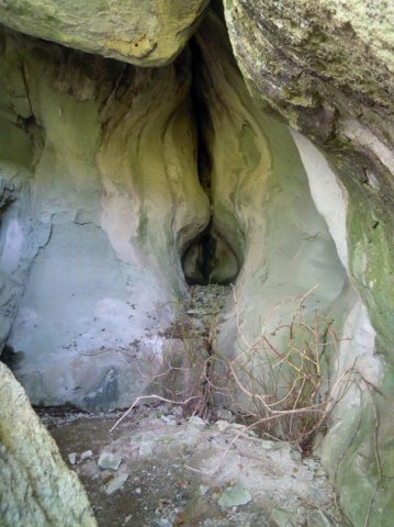 DSCN0364-1