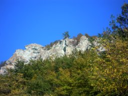 DSCN0302