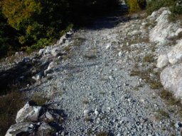 DSCN0318-1~2