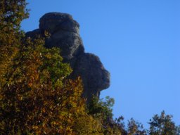 DSCN0326-1