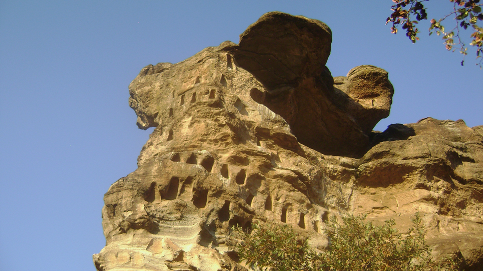 DSC02545-1