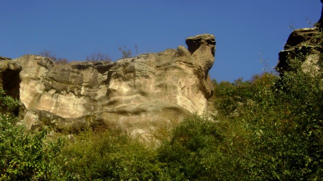 DSC02500-1