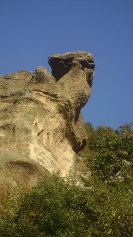 DSC02503-1