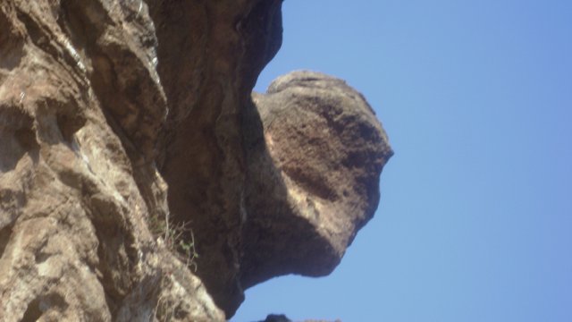 DSC02544-1