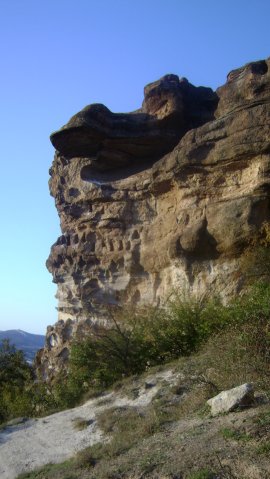 DSC02555-1