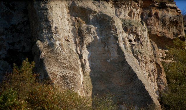 DSC_2000-1