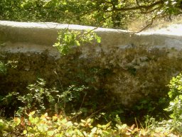 DSC02498-1~0