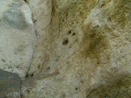 DSC02514-1