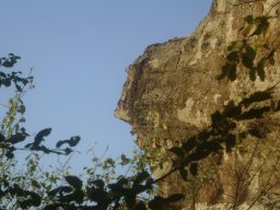 DSC02520-1