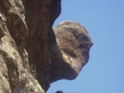 DSC02544-1