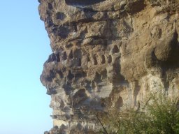 DSC02556-1