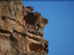 DSC_2002-1
