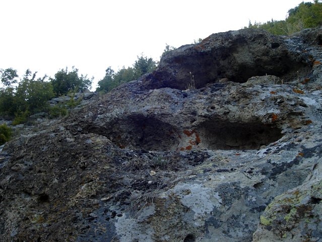 DSC01464-1