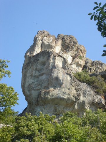 DSC01632-1