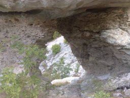 06082008154