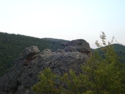 DSC01594-1