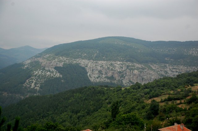 DSC_6986-1