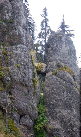 DSC_1055-1