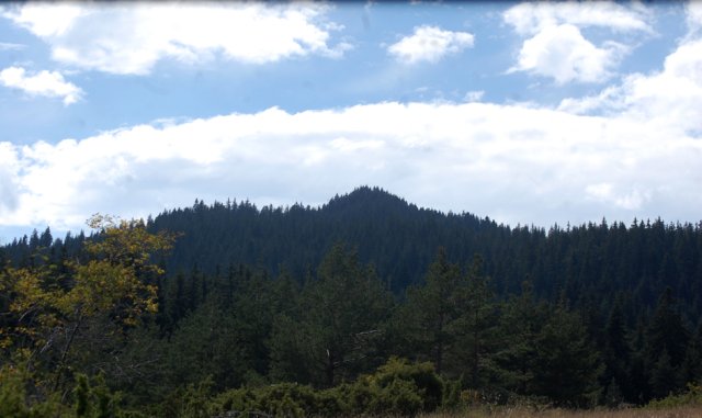 DSC_1187-1