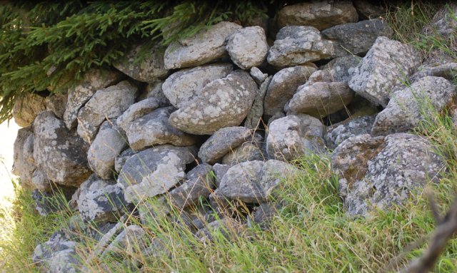 DSC_1206-1