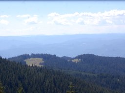 DSC_1077-1
