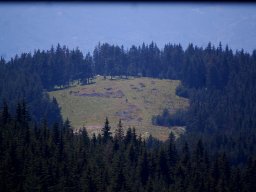 DSC_1079-1
