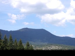 DSC_1288-1