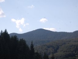 DSC_2212-1