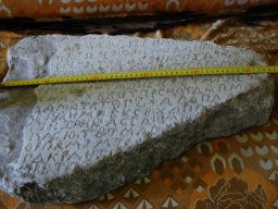 DSC_0049
