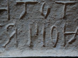 DSC_5174