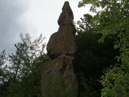 P6060031