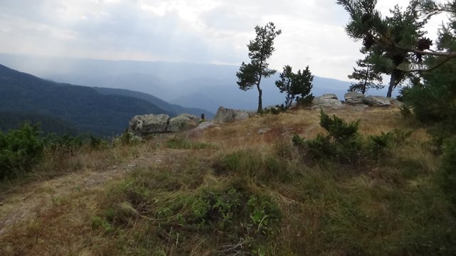 DSC01802-1