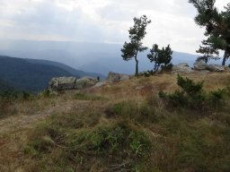 DSC01802-1