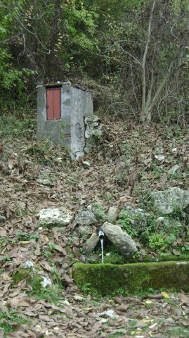 DSC06752-1