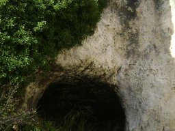DSC06838-1