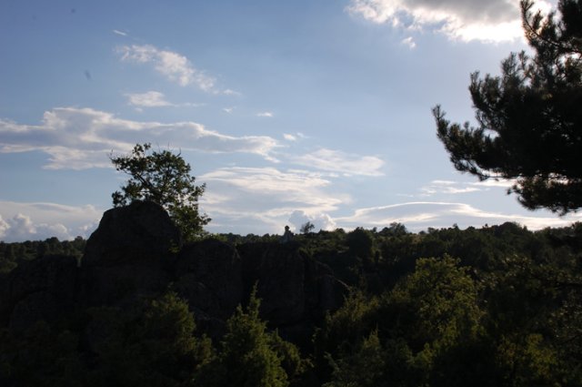 DSC_2150