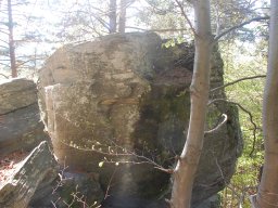 DSC_0507