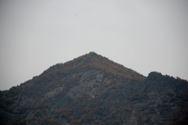 DSC_2290