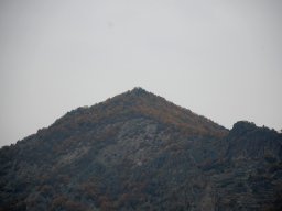 DSC_2290