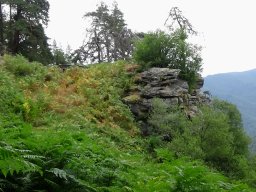 DSC01764-1