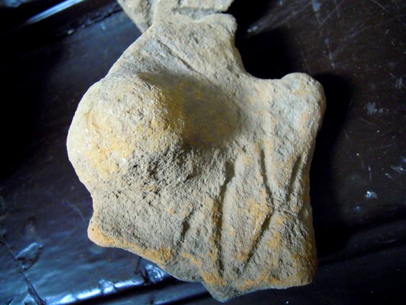 DSCN8270-1