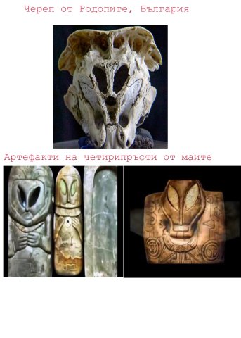 Cherep i artefakti2