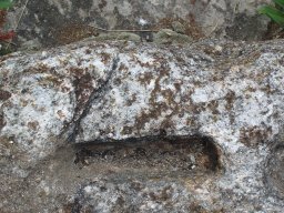 P7200125
