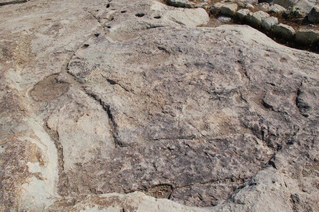 DSC_1390m