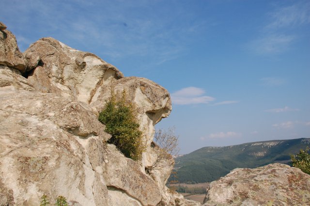 DSC_1659m