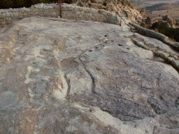 DSC_1396m