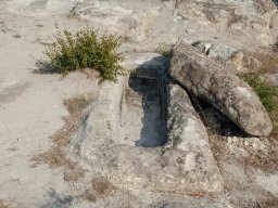 DSC_1456m